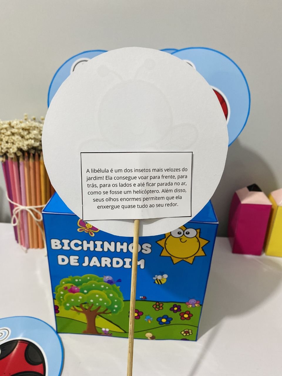 🐞🦋Caixa Bichinhos de Jardim - Imagem 7