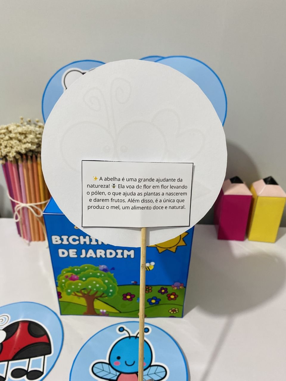 🐞🦋Caixa Bichinhos de Jardim - Imagem 3